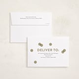 "Joy Scallop" - Holiday Cards in Snow by Stephanie Hawkes - FREE Recipient Addressing