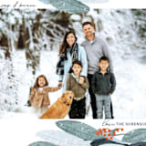 "Wintery Eucalyptus" - Holiday Cards in Snow by Angel Walker - Detail