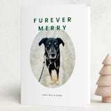 "Furever Merry" - Holiday Cards in Forest by Inkblot Design - Folded Card