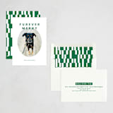 "Furever Merry" - Holiday Cards in Forest by Inkblot Design - Assembled
