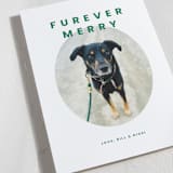 "Furever Merry" - Holiday Cards in Forest by Inkblot Design - Detail