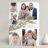 "Garland" - Holiday Cards in Snow by Rebecca Durflinger - Folded Card