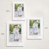 "hand drawn scallop" - Holiday Cards in Olive by Sara Hicks Malone - Formats Available