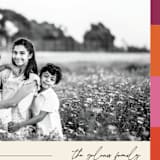 "Color Wrapped" - Holiday Cards in Berry by Nazia Hyder - Detail