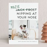"Not Jack Frost" - Holiday Cards in Evergreen by Akweley Creative - Front