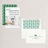 "Not Jack Frost" - Holiday Cards in Evergreen by Akweley Creative - Assembled