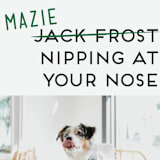 "Not Jack Frost" - Holiday Cards in Evergreen by Akweley Creative - Detail