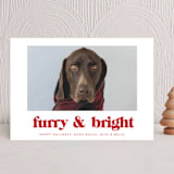 "Furry + Bright" - Holiday Cards in Cranberry by Angela Thompson - Front