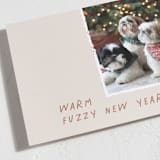 "Warm Fuzzy" - Holiday Cards in Caramel Mocha by Merian - Detail