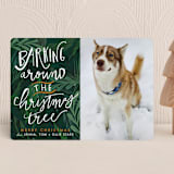 "Barking Fun" - Holiday Cards in Evergreen by Stephanie Given - Front