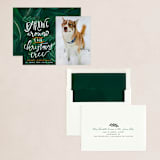 "Barking Fun" - Holiday Cards in Evergreen by Stephanie Given - Assembled