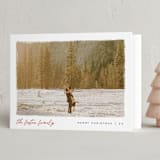 "Edgy" - Holiday Cards in Holly by Pixel and Hank - Folded Card