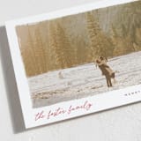 "Edgy" - Holiday Cards in Holly by Pixel and Hank - Detail