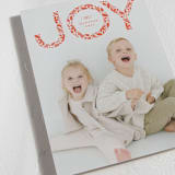 "Leafy Joy" - Holiday Cards in Berry by Michelle Taylor - Detail