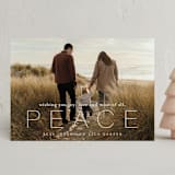"most of all, peace" - Holiday Cards in Frost by Sara Hicks Malone - Front
