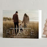 "most of all, peace" - Holiday Cards in Frost by Sara Hicks Malone - Folded Card