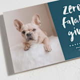 "Zero Falalas" - Holiday Cards in Navy by Erica Krystek - Detail