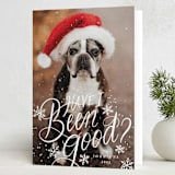 "Have I Been Good" - Holiday Cards in Snow by Becky Nimoy - Folded Card