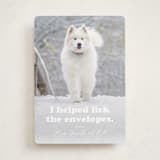 "Helping" - Holiday Cards in Bone by Hudson meet Rose - Front