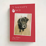 "Nice pup" - Holiday Cards in Poinsettia by Kat Roberts - Folded Card