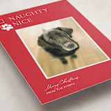 "Nice pup" - Holiday Cards in Poinsettia by Kat Roberts - Detail