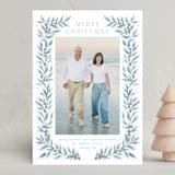 "Laurel Evergreen" - Holiday Cards in Glacier by Petra Kern - Front