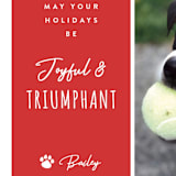 "Triumphant" - Holiday Cards in Candied Apple by Kampai Designs - Detail