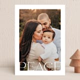 "Paloma" - Holiday Cards in Snowflake by Julie Murray - Front