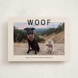 "Big Bold Type" - Holiday Cards in Cream by Ani Somi - Front