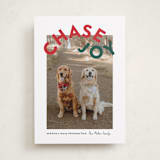 "Chase Joy" - Holiday Cards in Holly by Angela Garrick - Front