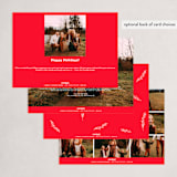 "Scalloped Holiday Love" - Holiday Cards in Holly by The Social Type - Back of Card Options
