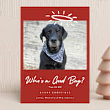"Good Boy" - Holiday Cards in Crimson by J. Dario Design Co. - Front