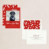 "Good Boy" - Holiday Cards in Crimson by J. Dario Design Co. - Assembled