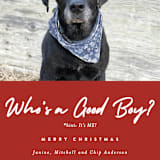 "Good Boy" - Holiday Cards in Crimson by J. Dario Design Co. - Detail