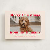 "Happy Howlidays" - Holiday Cards in Cherry by Annie Clark - Front