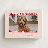 "Happy Howlidays" - Holiday Cards in Cherry by Annie Clark - Folded Card