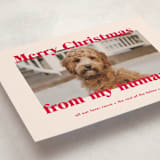 "Happy Howlidays" - Holiday Cards in Cherry by Annie Clark - Detail