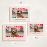 "Happy Howlidays" - Holiday Cards in Cherry by Annie Clark - Formats Available