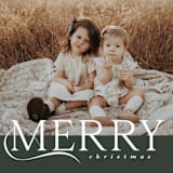 "Merry Minimal" - Holiday Cards in Evergreen by Angela Garrick - Detail