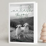 "Unleash the Joy" - Holiday Cards in Pine by Sandra Picco Design - Folded Card