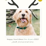 "Happy Howlidays" - Holiday Cards in Frost by Lisa Cersovsky - Detail