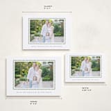 "hand drawn scallop" - Holiday Cards in Olive by Sara Hicks Malone - Formats Available