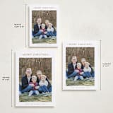 "Dotted" - Holiday Cards in Caramel by Carolyn MacLaren - Formats Available