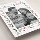"Always Merry" - Holiday Cards in Candy Cane by Susan Moyal - Detail
