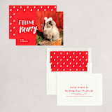 "Feline Merry" - Holiday Cards in Santa Suit by Chryssi Tsoupanarias - Assembled
