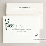 "Fun Snap" - Holiday Cards in Pine by Annie Clark - FREE Recipient Addressing