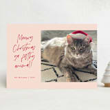 "Meowy Christmas" - Holiday Cards in Rose Cheeks by Lisa McLean - Front