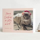 "Meowy Christmas" - Holiday Cards in Rose Cheeks by Lisa McLean - Folded Card