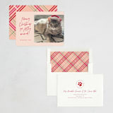 "Meowy Christmas" - Holiday Cards in Rose Cheeks by Lisa McLean - Assembled