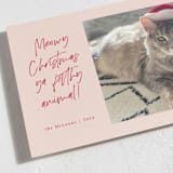 "Meowy Christmas" - Holiday Cards in Rose Cheeks by Lisa McLean - Detail